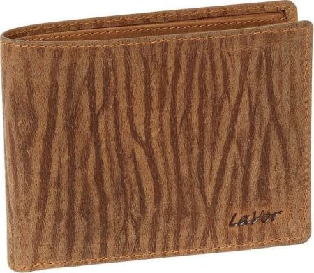 20200207130057 lavor 1 8006 camel